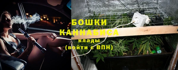 ALPHA-PVP Богородицк