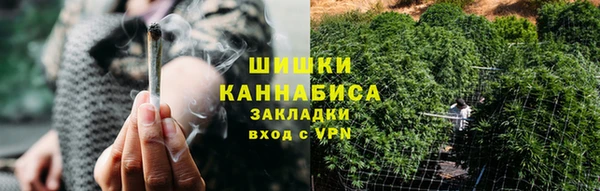 МДПВ Богородск