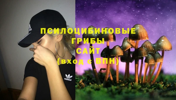 наркотики Богданович